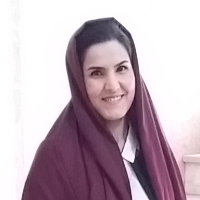 Somayeh Khademloo profile picture on SciLag